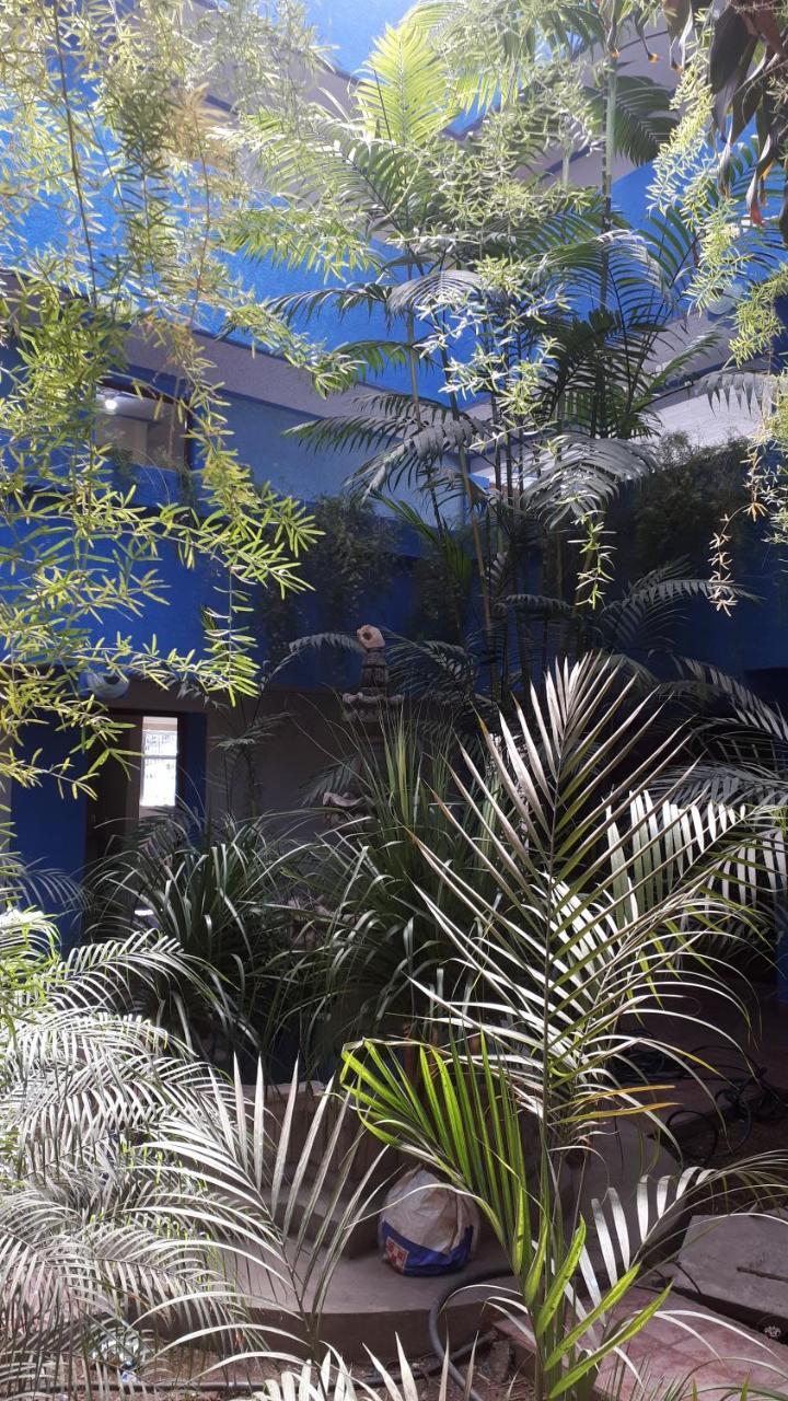 Hotel Kasa Kamelot 2 Quetzaltenango Bagian luar foto