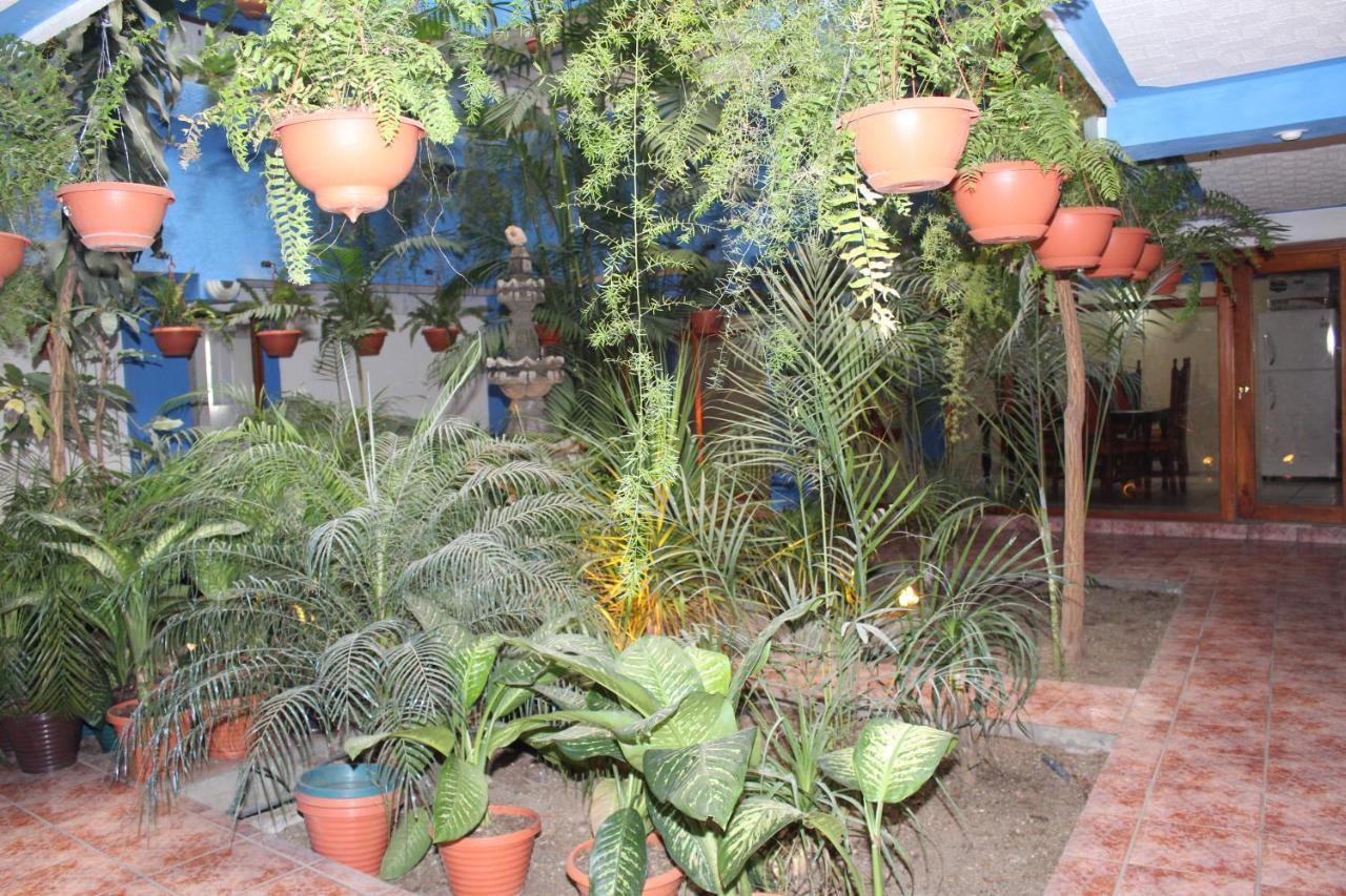 Hotel Kasa Kamelot 2 Quetzaltenango Bagian luar foto