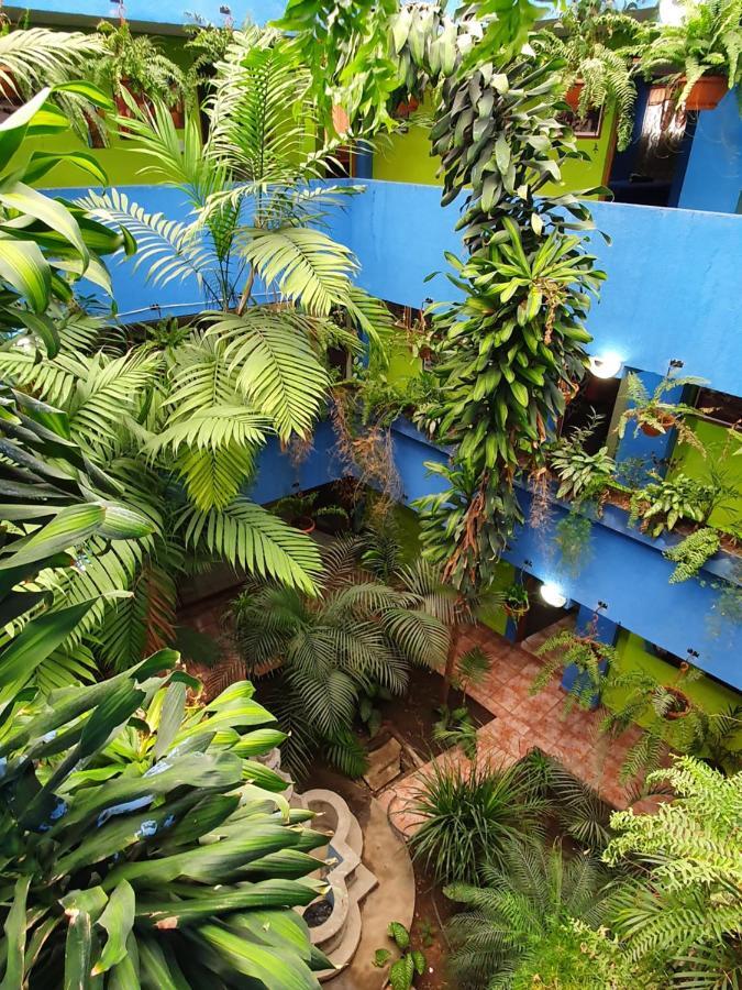 Hotel Kasa Kamelot 2 Quetzaltenango Bagian luar foto