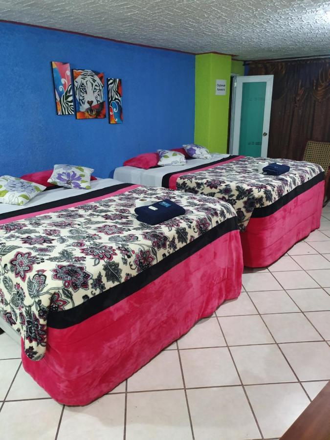 Hotel Kasa Kamelot 2 Quetzaltenango Bagian luar foto